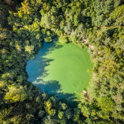 Grüner Waldsee im Fichtelgebirge bei Bad Alexandersbad